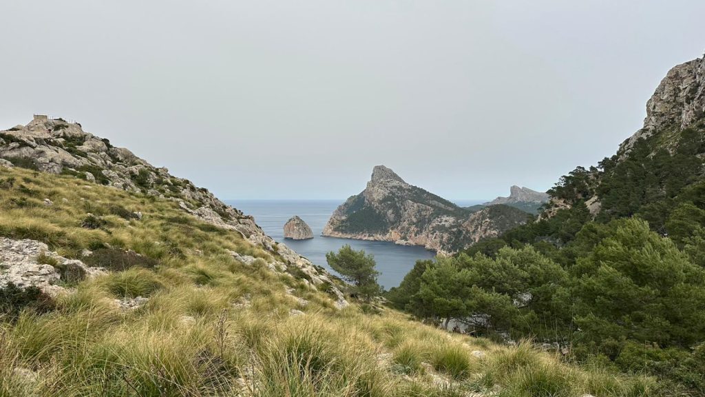 Mallorca 2026 (2026-04-11)