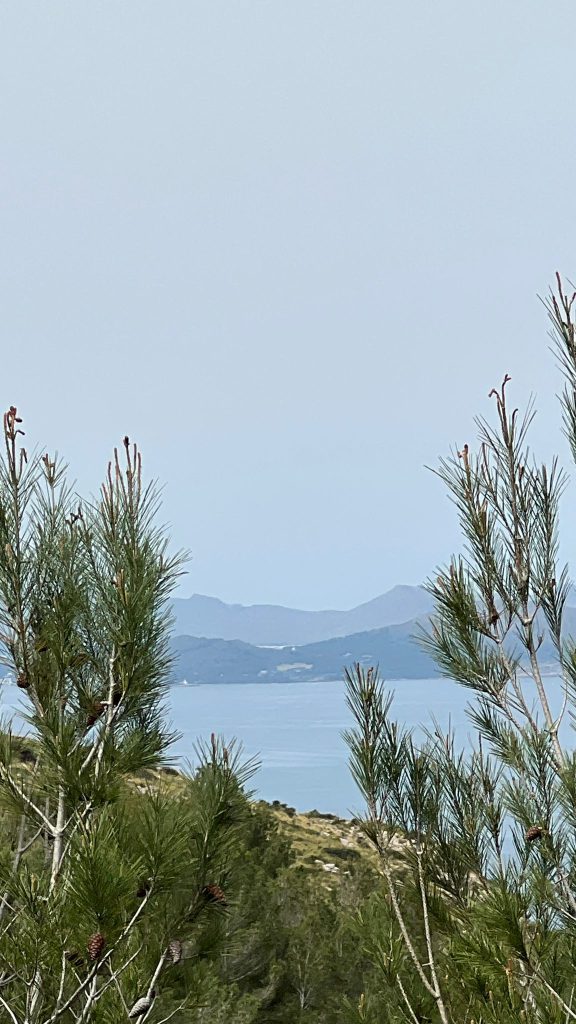 Mallorca 2026 (2026-04-11)