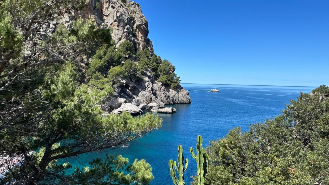 Mallorca 2026 – #6